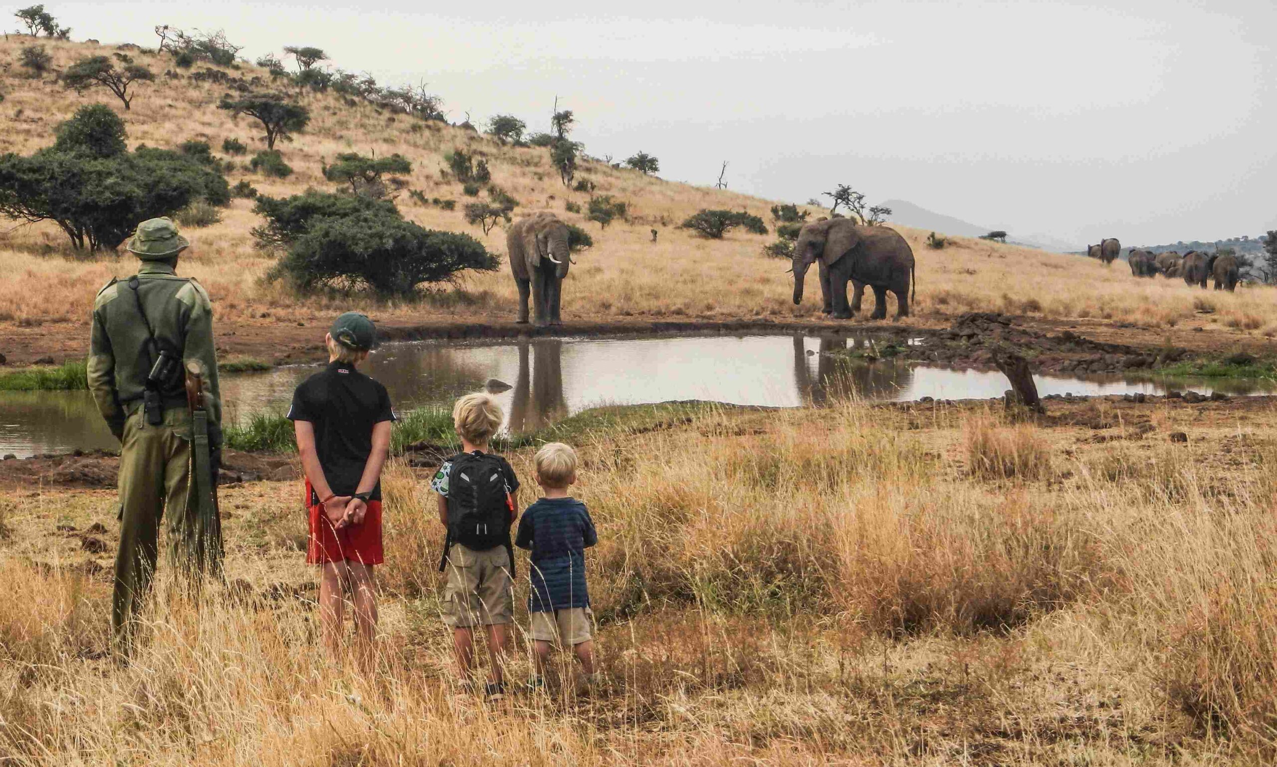 Lewa waterhole - elephant watching with kids