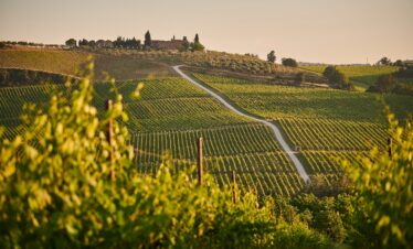A Boutique Tuscany Tour – Home to Dramatic Landscapes